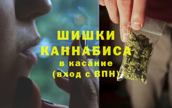 прущая мука Каменногорск