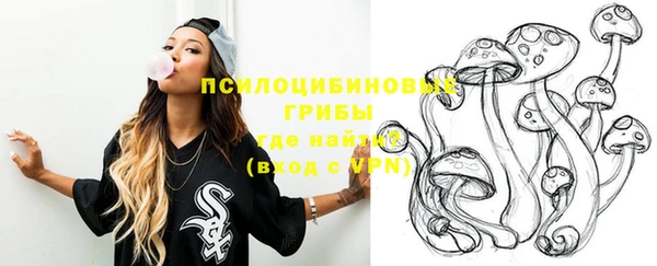 метадон Каменка