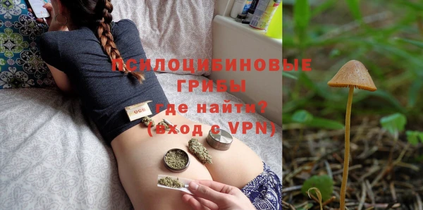 метадон Каменка