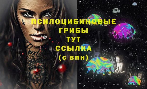 метадон Каменка