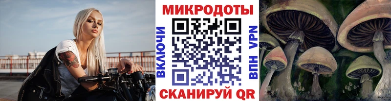 Галлюциногенные грибы Psilocybe  KRAKEN как зайти  Шумиха 